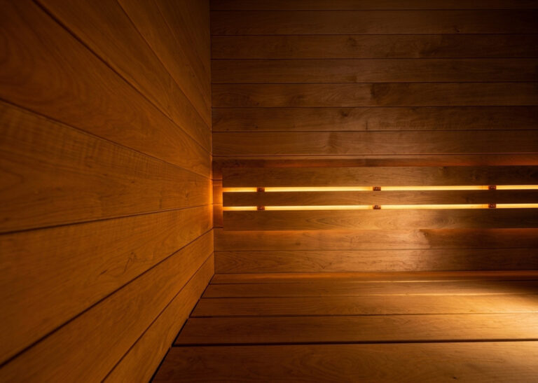 SaunaLife G6 sauna interior wood bench and ambient LED backrest lighting